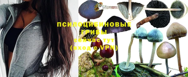 мескалин Богородск