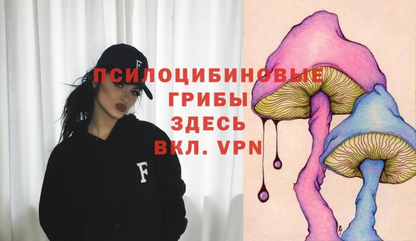 a pvp Богородицк