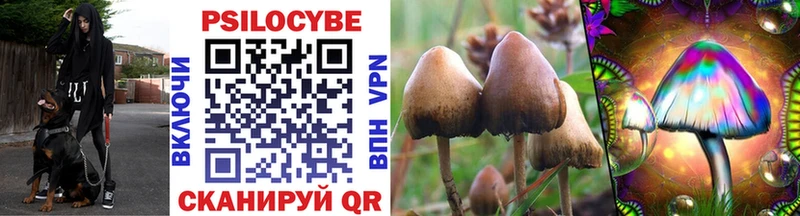 Псилоцибиновые грибы Magic Shrooms  Купить закладки  Ливны 