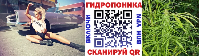 Купить где  Ливны  Бошки Шишки семена 